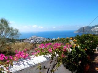 La Herradura property: Villa for sale in La Herradura, Granada 216470