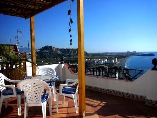 town Townhome 216513