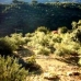 Guajar Alto property: Villa in Granada 216518