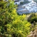 bedroom Land in town, Spain 216519