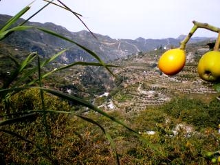 Otivar property: Townhome for sale in Otivar, Spain 216520