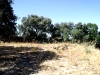 Olvera property: Olvera, Spain | Land for sale 216758
