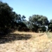 Olvera property: Olvera, Spain Land 216758