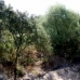 Olvera property: bedroom Land in Olvera, Spain 216758