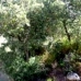 Olvera property: bedroom Land in Cadiz 216758