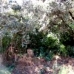 Olvera property: Beautiful Land for sale in Cadiz 216758