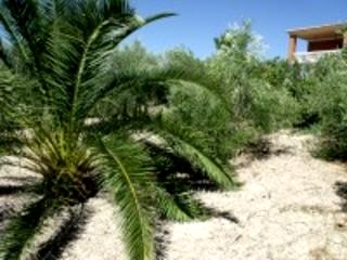 Olvera property: Land for sale in Olvera, Spain 216760