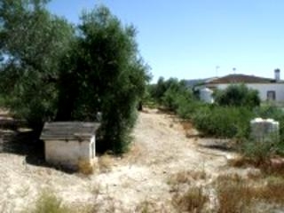 Olvera property: Cadiz property | bedroom Land 216760