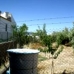 Olvera property: Beautiful Land for sale in Olvera 216760