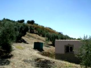 Olvera property: Land for sale in Olvera 216761