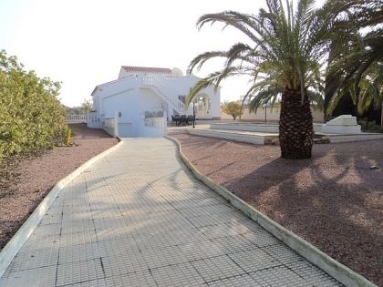 Torrevieja property: Villa with 4 bedroom in Torrevieja 217941