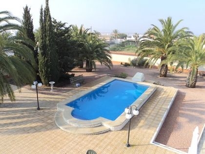 Torrevieja property: Alicante Villa 217941
