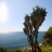 Javea property: Villa in Javea 218305
