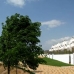 San Juan De Los Terreros property: San Juan De Los Terreros, Spain Apartment 218983
