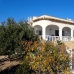 L'Alfas Del Pi property: Beautiful Villa for sale in Alicante 220048