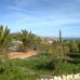 Almeria, Spain Farmhouse 220451