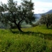 Olvera property: Cadiz House, Spain 222877