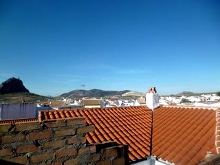 town Townhome 223315