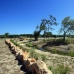 Beautiful Villa for sale in Alicante 223450