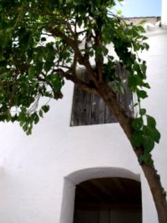 Olvera property: Townhome in Cadiz for sale 224178