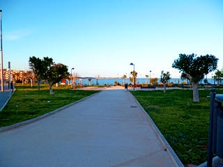 Mil Palmeras property: Mil Palmeras Apartment 225087