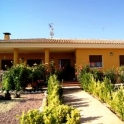 Pinoso property: Villa for sale in Pinoso 229276