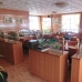 Playa Flamenca property: Villa in Playa Flamenca 229435