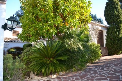 Javea property: Alicante Villa 229605