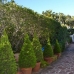 Javea property: Villa in Javea 229605