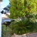 Javea property: Beautiful Villa for sale in Javea 229605