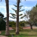 Javea property:  Villa in Alicante 229613