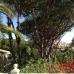 Elviria property: Elviria, Spain Villa 229937