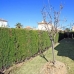 Denia property: 3 bedroom Villa in Alicante 230263