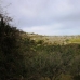 Pedreguer property: Pedreguer, Spain Villa 231251