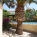 Moraira property: Moraira, Spain Villa 231274