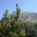 Javea property: Beautiful Villa for sale in Javea 231361