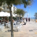 Torrevieja property: Alicante, Spain Apartment 232099