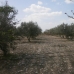 Tabernas property: 3 bedroom Farmhouse in Tabernas, Spain 232740