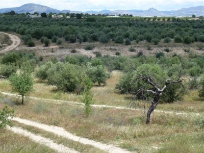 Lorca property: Murcia property | 3 bedroom House 233684