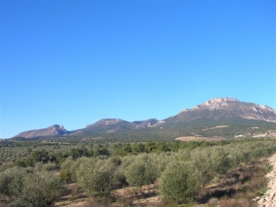 Lorca property: Lorca House 233685