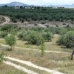 Lorca property: House in Lorca 233685