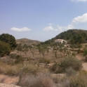 Bedar property: Farmhouse for sale in Bedar 233704