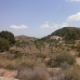 Bedar property: Almeria, Spain Farmhouse 233704