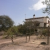 Bedar property: Bedar, Spain Farmhouse 233704
