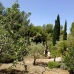 Benissa property: Benissa Villa, Spain 233719