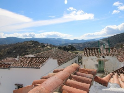 town Commercial 234701