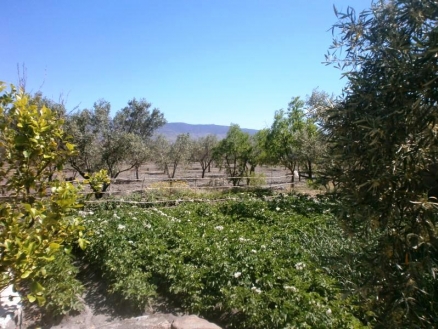 Tabernas property: Farmhouse with 5 bedroom in Tabernas, Spain 235921