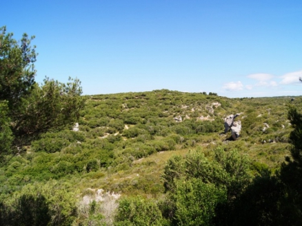 province Apartment 236750
