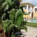 Palomares property: 2 bedroom Apartment in Palomares, Spain 236813