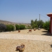 Arboleas property: Beautiful Villa for sale in Arboleas 237523